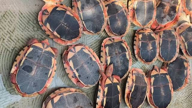 土豪哥，豪气打包✈️～