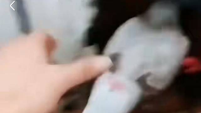 宁死不吃嗟来之食