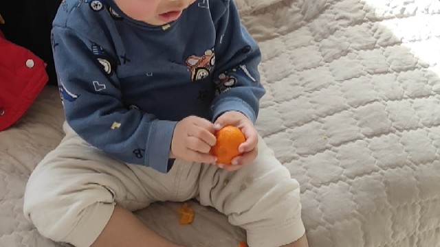 19个月的仔仔扒橘子