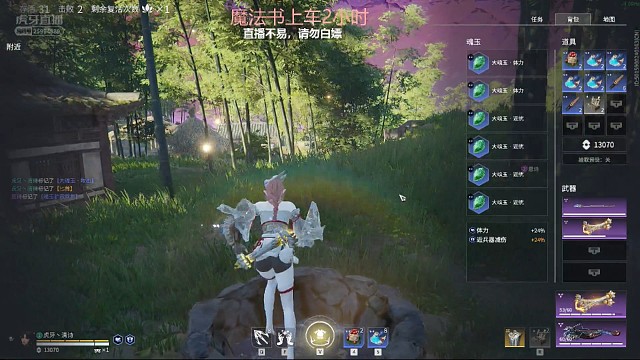 暴打胡桃记