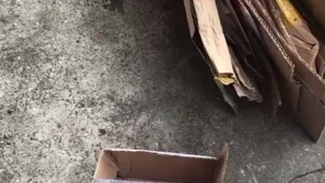 不晓得买得多少钱