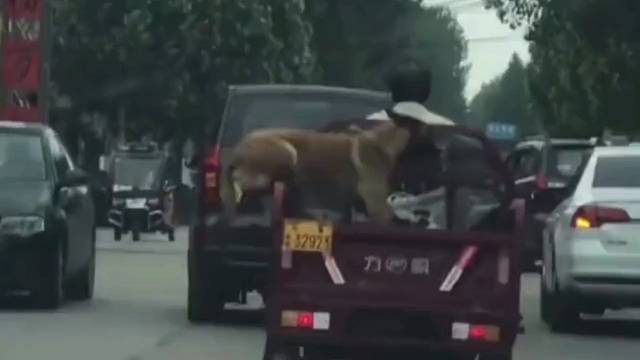 我又进来了，又出去了，我又进来了