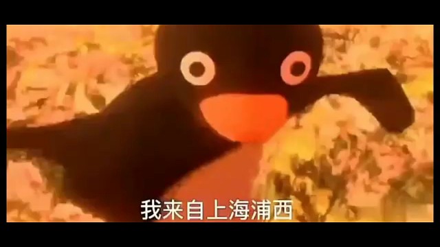充q币充充充——冷鸽配音