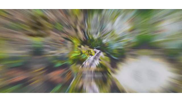 越菜越爱玩！！！