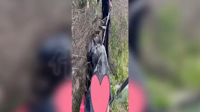 我就是个可靠的男人