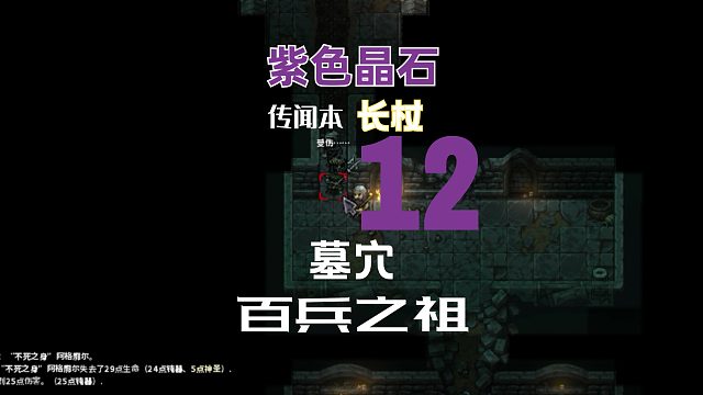 紫色晶石【长杖_12】（传闻本：墓穴）