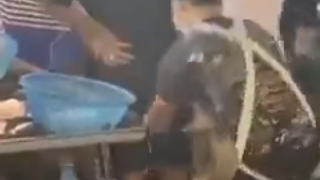 笑声好魔性啊，洗脑