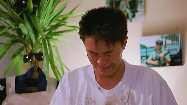 我心向阳，何须忧伤。