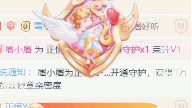 感谢屠屠哥的守护