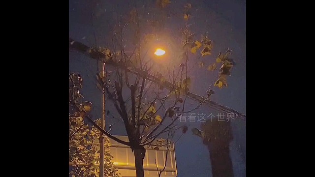 你负责温柔就好，我负责守护你的温柔