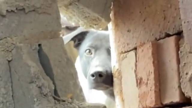 女孩上厕所被偷窥，发现后