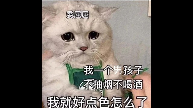 哦哦哦哦哦哦哦