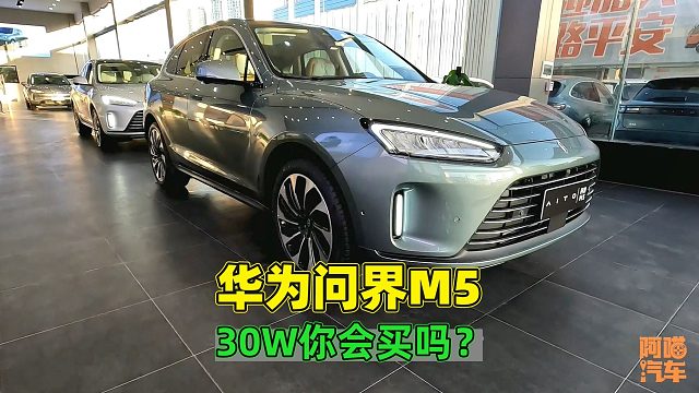 华为问界M5上市一个月，销量达到去年一年，都是哪些人买这台车