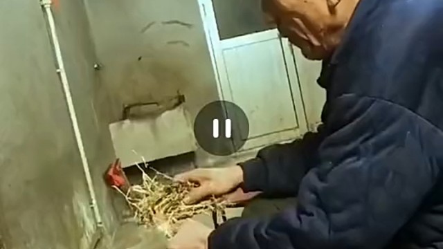 大爷的乐趣你不懂