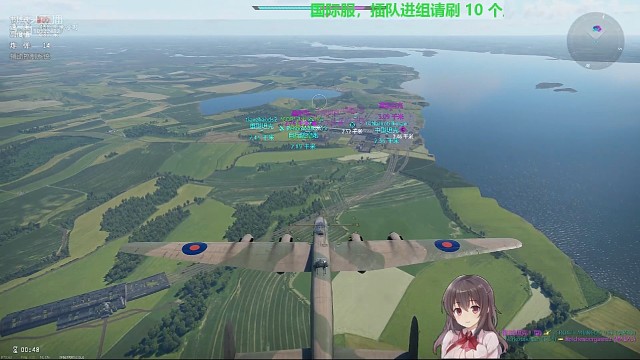 我的队友大布龙，无敌辅助~