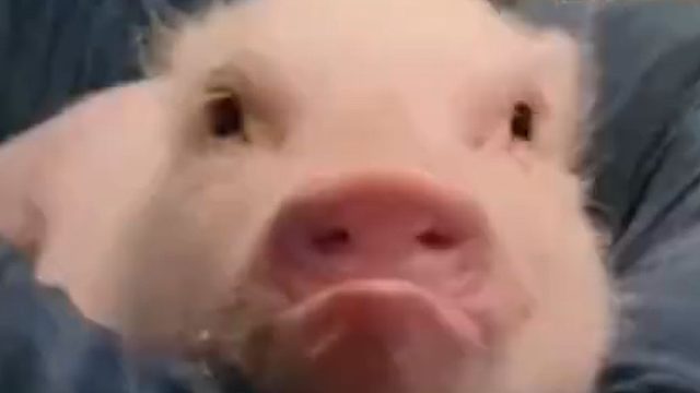 像极了女朋友生气的样子！