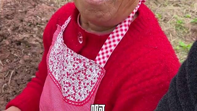 袁婆的好东西还真多…