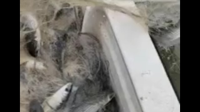 欢迎你们跟我一起出海玩