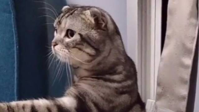 还好不是训的我