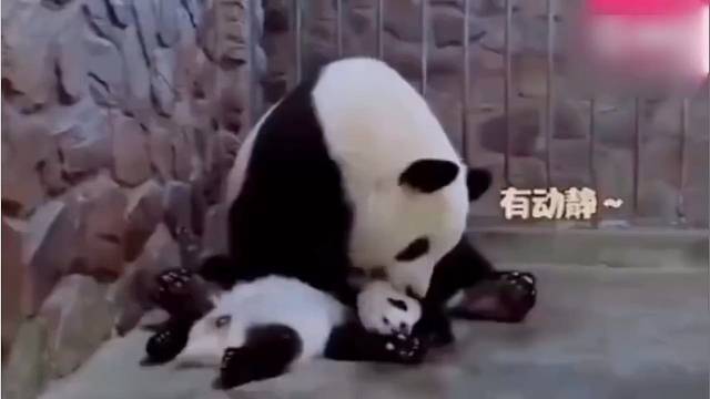 谁还不是为了口粮