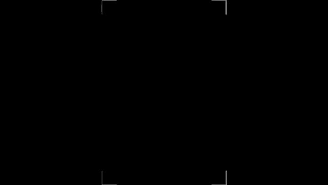 我不太温柔，但是可以对你做尽温柔事