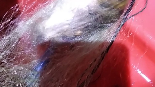 河里罗非泛滥，一网上百斤。