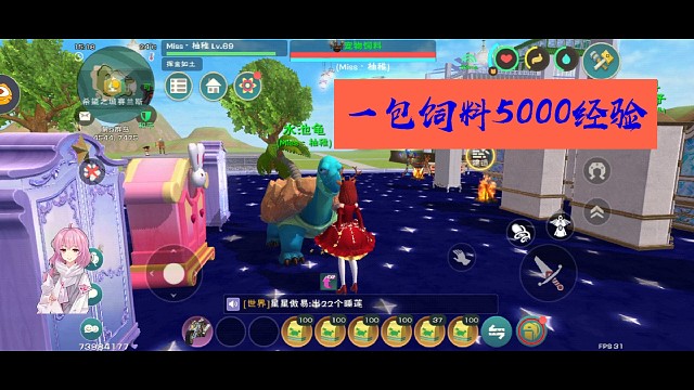 喂水池龟升级^·^《萌新求罩》