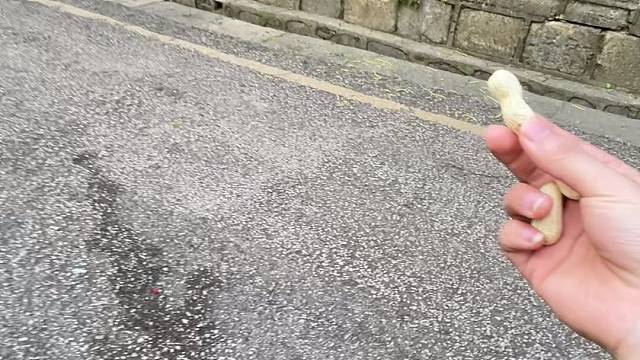 你也要花生米嘛？