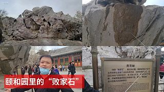 20年老导游讲解北京颐和园里的“败家石” “青芝岫”