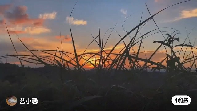 不开心就来看我直播吧我逗你开心