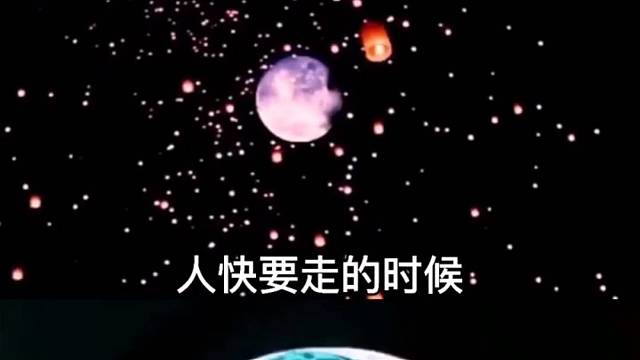 因果循环报应不爽