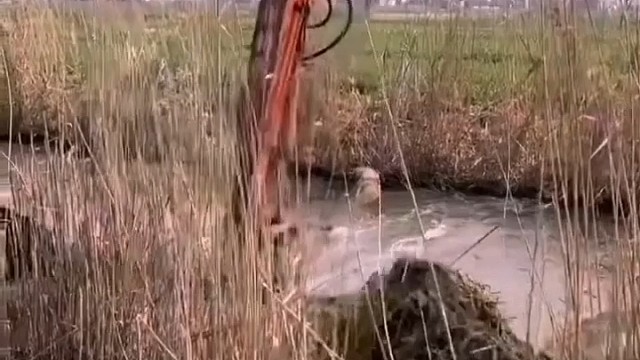 乡村生活，玩玩