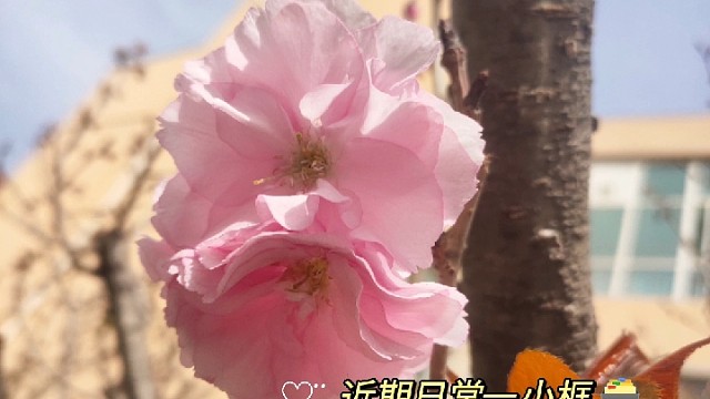 谢谢你们没有抛下我这个小病号
爱你们呦
比心