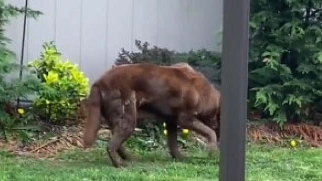 你从来都不是我们的累赘，你是陪伴守护我们的家人啊
