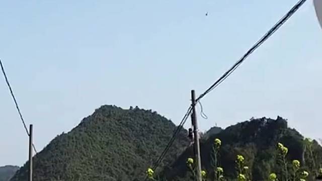 连灭绝师太都遭殃了