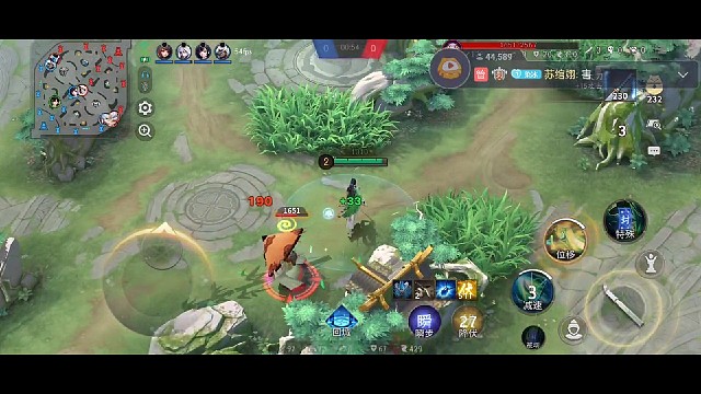 吊打大岳丸，野区我为王