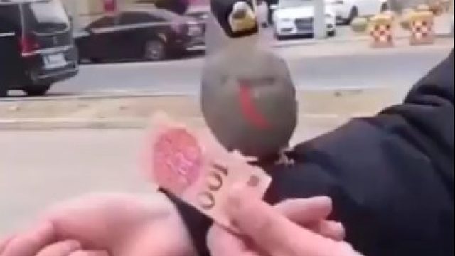 这小日子越来越有判头了