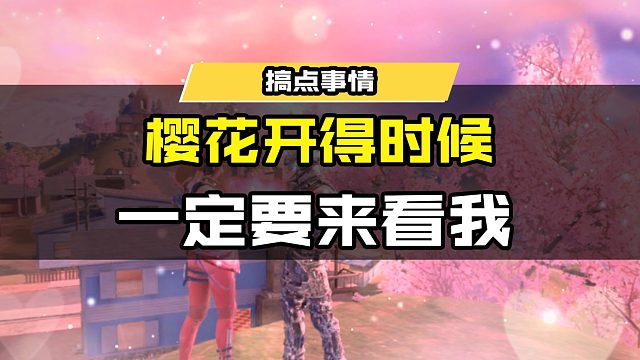 樱花开的时候一定要来看我