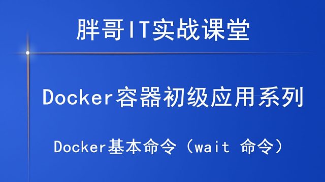 Docker基本命令（wait 命令）下-2