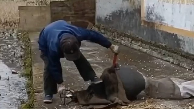 大爷第一天开张就歇业了