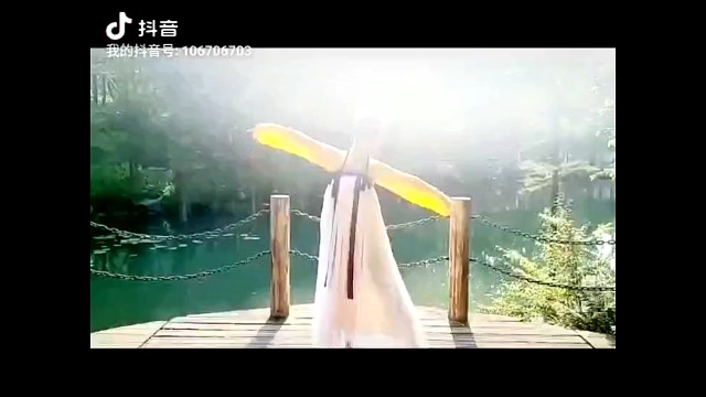 和小姐姐一起跳舞吧