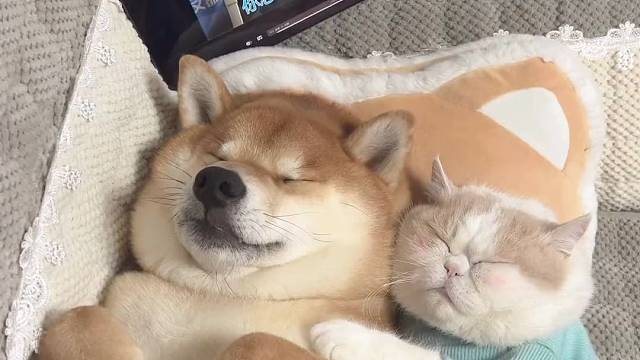 你怎么睡得着的