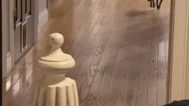 什么时候能走出客厅