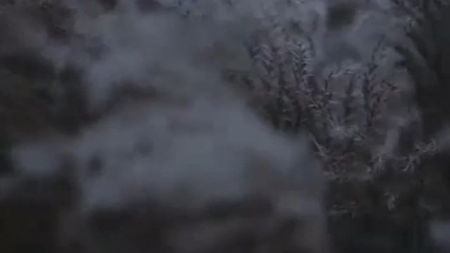 睡不着就录点什么好了