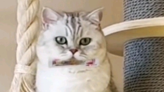 你是怎么做到的？