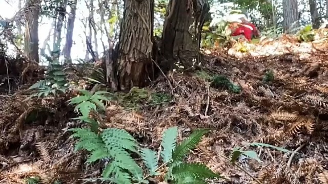 世界上真的已经没有你在乎的人了吗