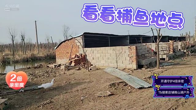 【微山湖】看看新捕鱼点