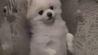 這叫什么？
