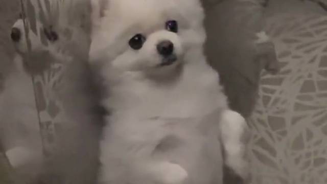 這叫什么？
