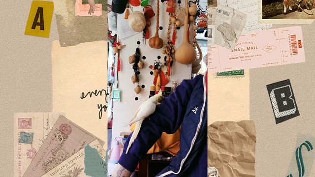 口技鸟叫模仿逗玄凤鹦鹉